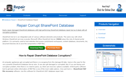 sharepoint.databaserepair.net