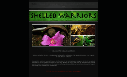 shelledwarriors.co.uk