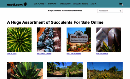 shop.cacti.com