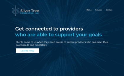silvertreeconsulting.com