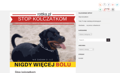 sklepfjord.firmakorona.pl