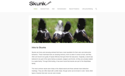 skunk.com