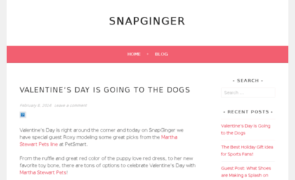 snapginger.com