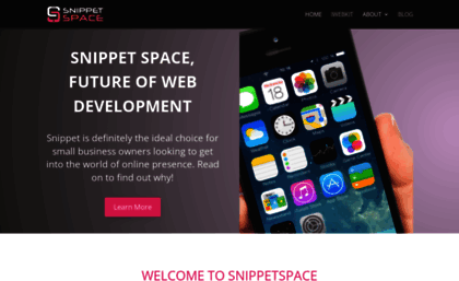 snippetspace.com