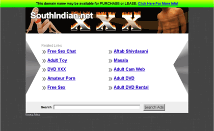 southindian.net