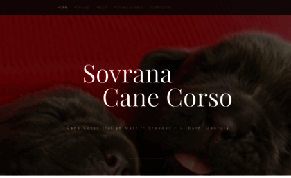 sovranacanecorso.com