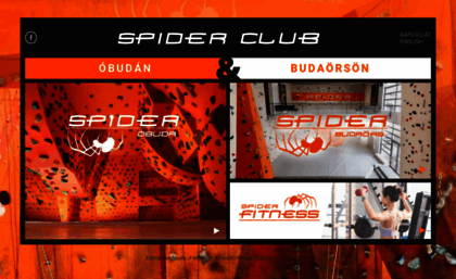 spiderclub.hu