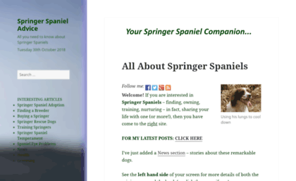 springerspanieladvice.com