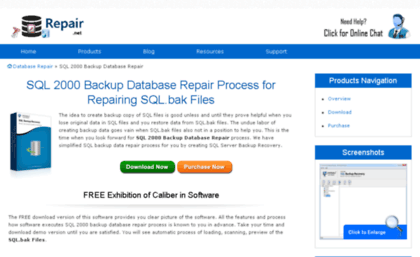 sql-2000-backup.databaserepair.net