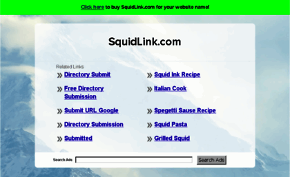 squidlink.com