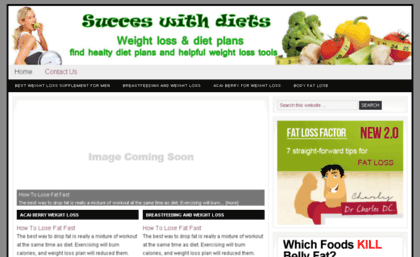 successwithdiets.com