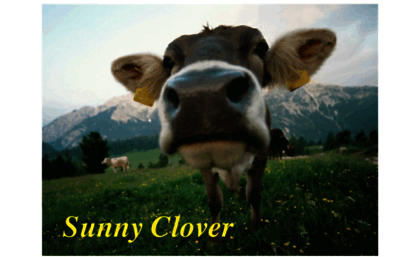 sunnyclover.com