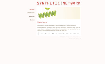 syntheticnetwork.com