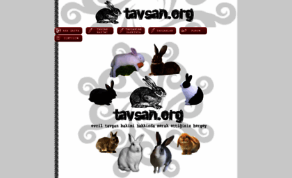 tavsan.org
