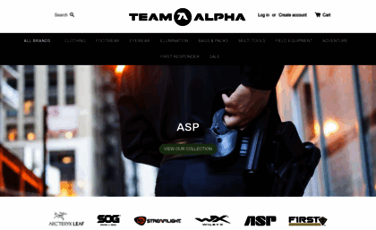 team-alpha.ie