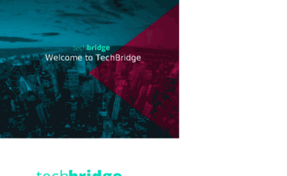 techbridge.co.in