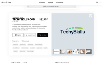 techyskills.com