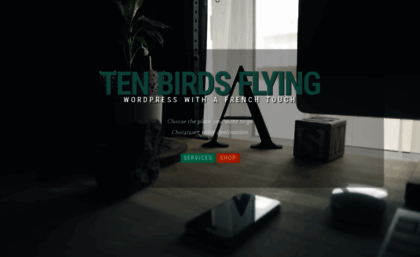 tenbirdsflying.com