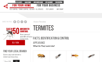 termites101.org
