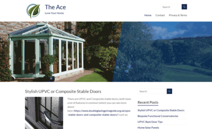 the-ace.org.uk