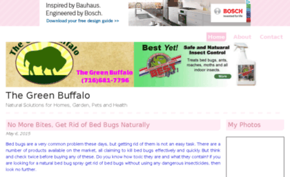 thegreenbuffalo.bravesites.com