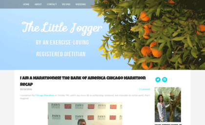 thelittlejogger.com