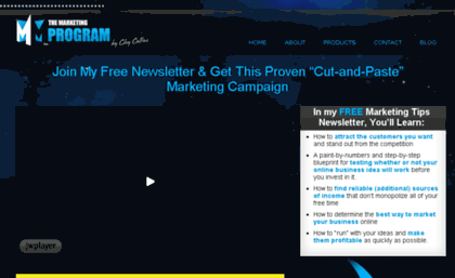 themarketingprogram.com