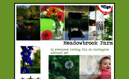 themeadowbrookblog.blogspot.com