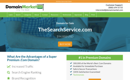 thesearchservice.com