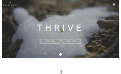 thrivefocus.com