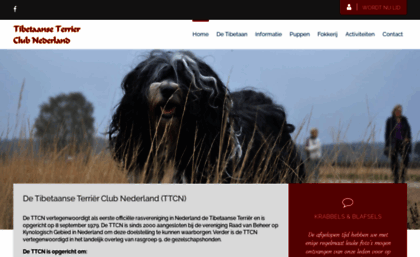 tibetaanseterrierclub.nl