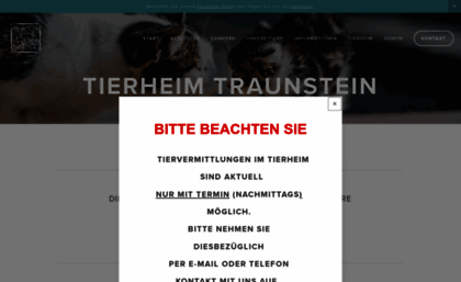 tierheim-traunstein.de