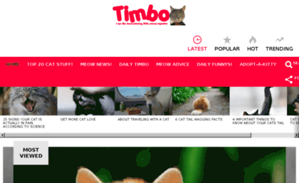 timbodaily.com