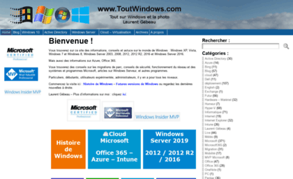 toutwindows.com