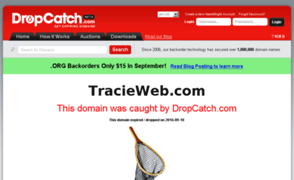 tracieweb.com