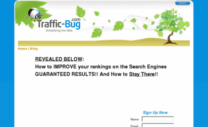 traffic-bug.com