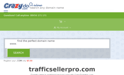 trafficsellerpro.com