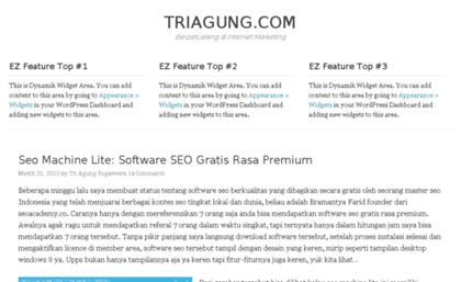 triagung.com