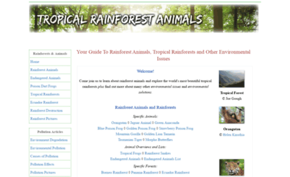 tropical-rainforest-animals.com