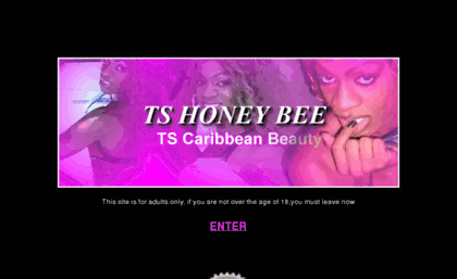 tshoneybee.com