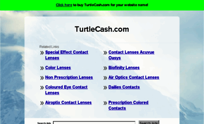 turtlecash.com