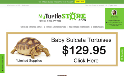 turtlesale.com