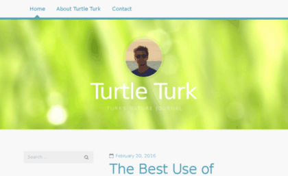 turtleturk.com