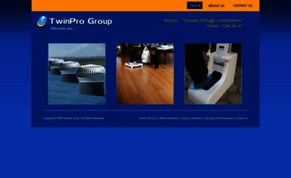 twinprogroup.net