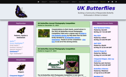 ukbutterflies.co.uk