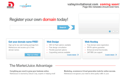 valleyinvitational.com
