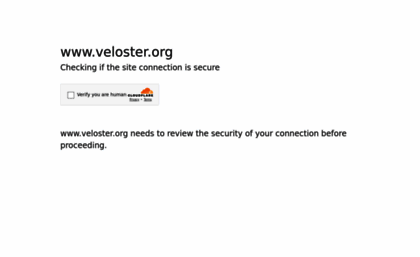 veloster.org