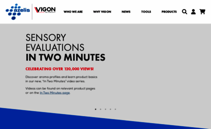 vigon.com
