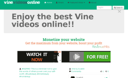 vinevideosonline.com