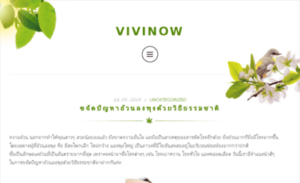 vivinow.com